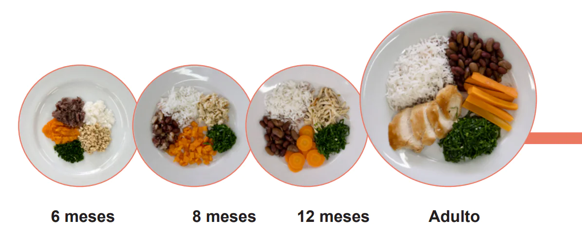 Introdução alimentar do bebê: passo a passo. - Dra. Jéssica Dantas